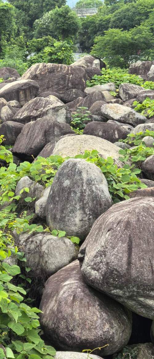 毛石景观石自然石大石头园林绿化工程造景